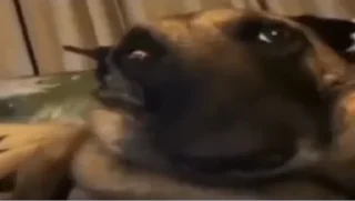 Sticker Literally @Rondo0416 - 11