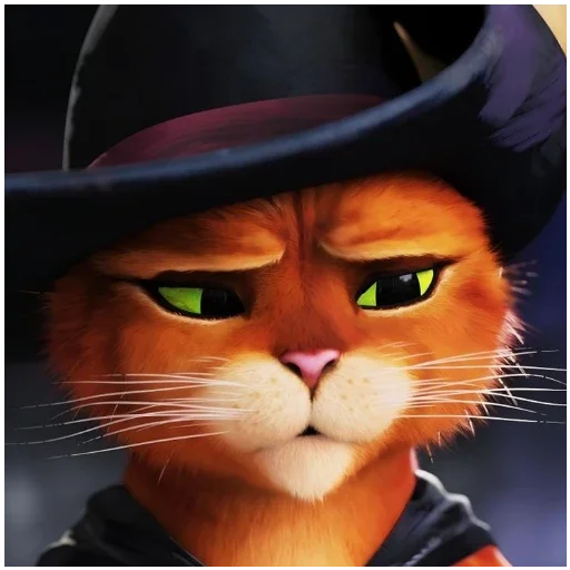 Kaizen Kayo/кот в спг - 