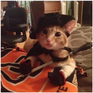 Sticker Kaizen Kayo/кот в спг - 6