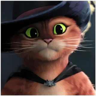 Sticker Kaizen Kayo/кот в спг - 4