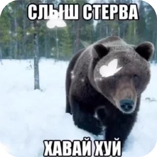 Sticker Какашечкииии - 3