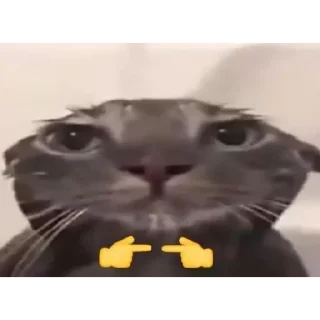 Sticker Какашки - 6