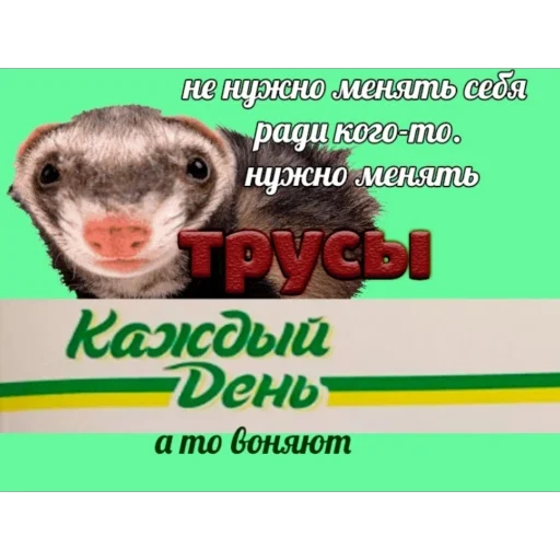 Стикер Kakava9 - 1