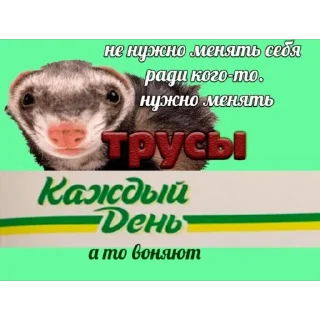 Sticker какава - 10