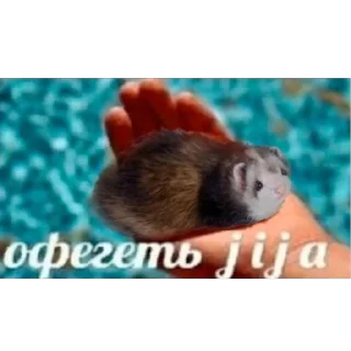 Sticker какава - 7