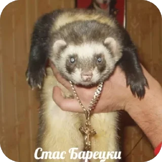 Sticker какава - 5