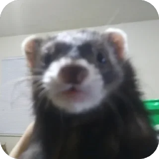 Sticker какава - 8