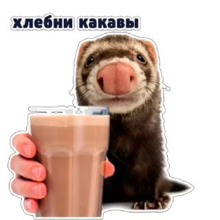 Sticker какава - 2