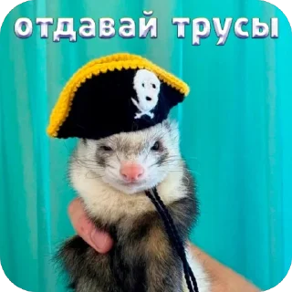 Sticker какава - 1