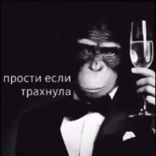 Sticker Kakish genius от @turoky (mems edition) - 6