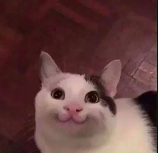 Sticker かわいい動物<3 :: @fStikBot - 4