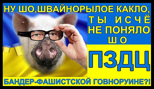 СМС очки свинья