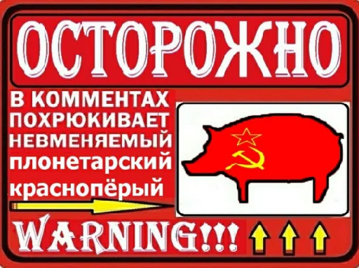 СМС свинья животное