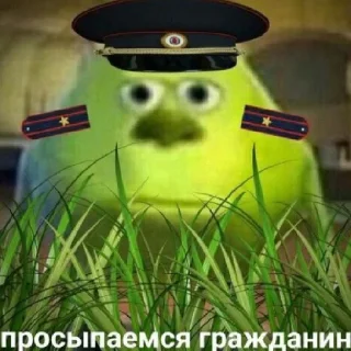 Стикер какого цвета на тебе трусы? - 3