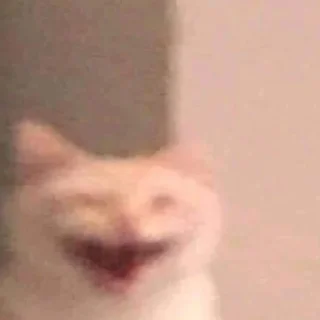 Стикер какого цвета на тебе трусы? - 4