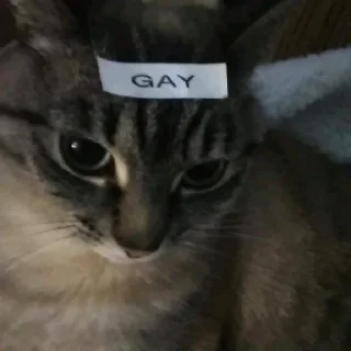 Стикер какого цвета на тебе трусы? - 11