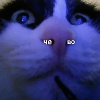 Стикер какого цвета на тебе трусы? - 8