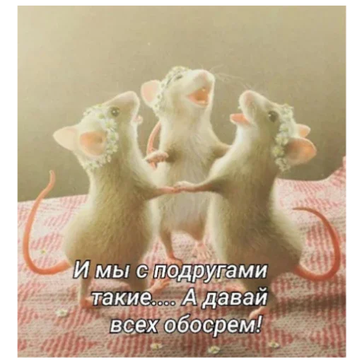 Стикер KakojToAlkashi1 - 1