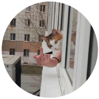 Sticker Какой-то алкаши - 1