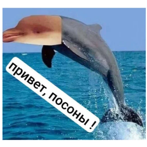 Стикер KakojToAlkashi5 - 1