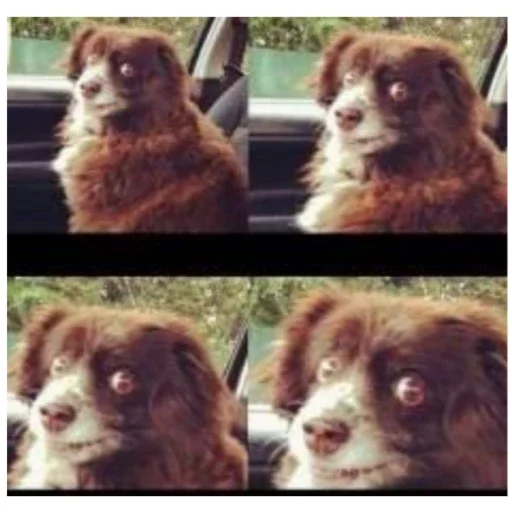 Sticker KakojToAlkashi5 - 1