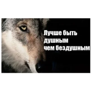 Sticker Какой-то алькаши - 2