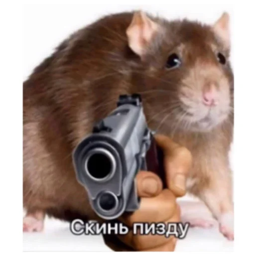 Sticker Kakoj_to_stiker_pak8 - 1