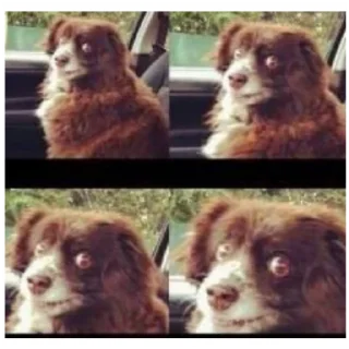 Sticker Какой-то стикер пак - 1