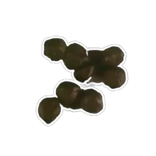 Стикер Какулечки || @coprocfs - 0