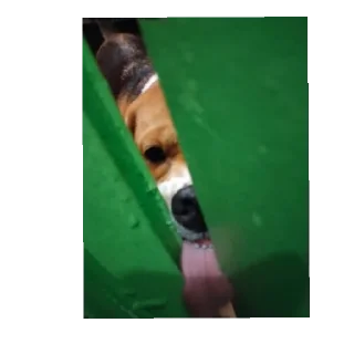 Стикер Калабака - 3