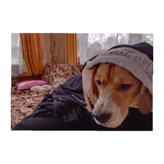 Стикер Калабака - 6