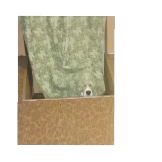 Стикер Калабака - 9