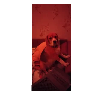 Стикер Калабака - 10