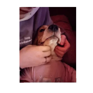 Стикер Калабака - 11