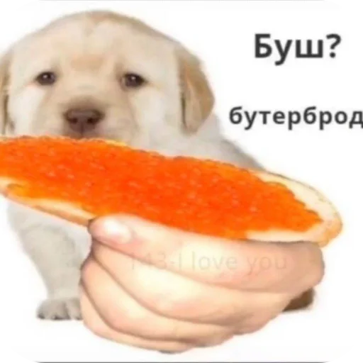 Sticker KalamburySkovorody - 1