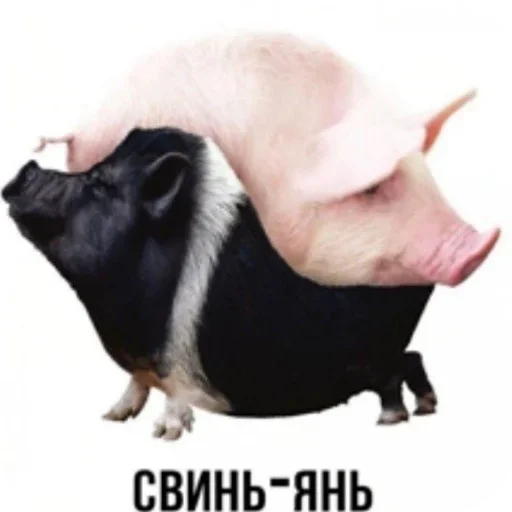 Sticker KalamburySkovorody - 1