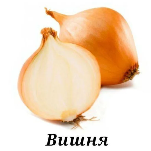 Sticker KalamburySkovorody - 1