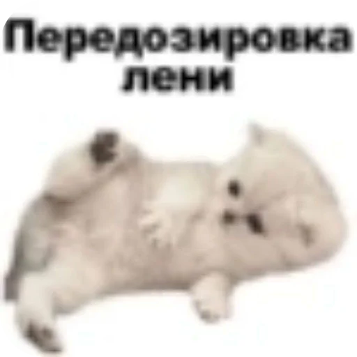 Sticker KalamburySkovorody - 1