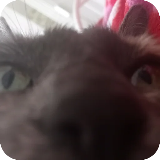 Sticker KalamburySkovorody - 1