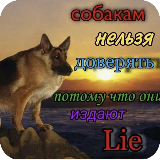 Sticker KalamburySkovorody - 1