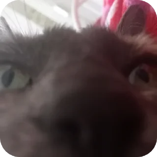 Sticker Каламбуры сковороды 🤍👟 - 11