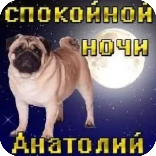 Sticker Каламбуры сковороды 🤍👟 - 10