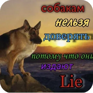 Sticker Каламбуры сковороды 🤍👟 - 3