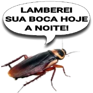 Стикер KalilPack - 6