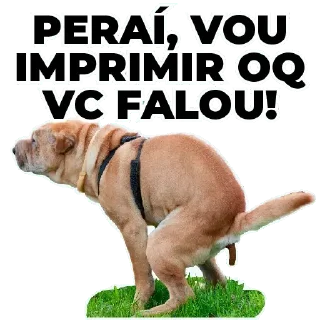 Стикер KalilPack - 11