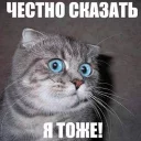 Sticker KalmPack - 11