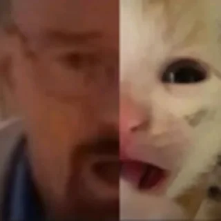 Стикер Kama - 0