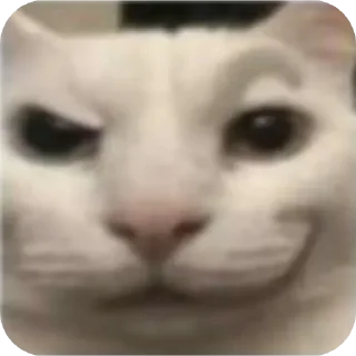 Стикер Kama - 11