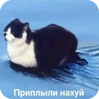 Стикер Kama - 10