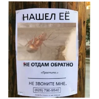 Стикер КАМПАФФ НЕНАВИШУ!!! @BlackKowka - 3